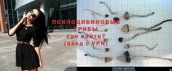 мескалин Переславль-Залесский