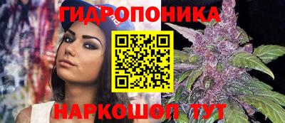 твердый Коммунар