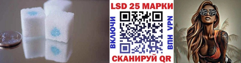наркотики  Новоалександровск  LSD-25 экстази ecstasy 