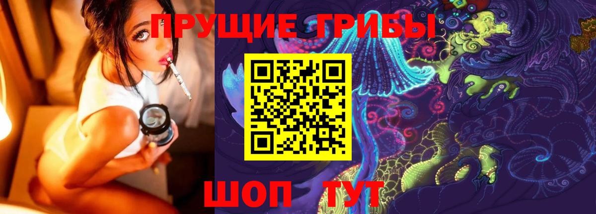 Галлюциногенные грибы Cubensis Новоалександровск
